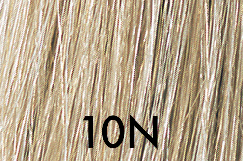 Thumbnail 13