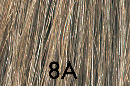 Thumbnail 18