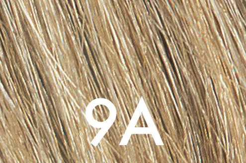 Thumbnail 19