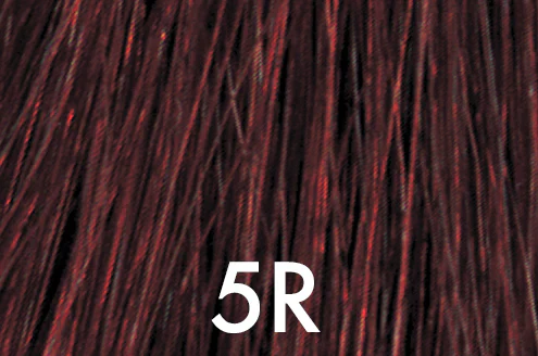 Thumbnail 39