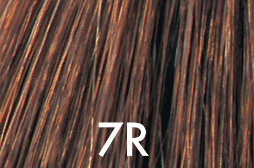 Thumbnail 41